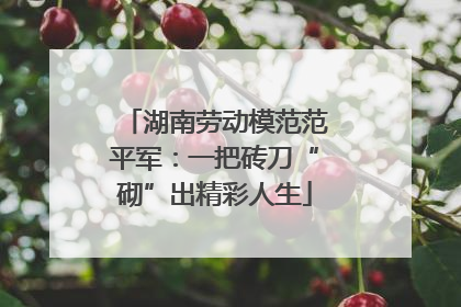 湖南劳动模范范平军：一把砖刀“砌”出精彩人生