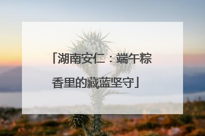湖南安仁：端午粽香里的藏蓝坚守