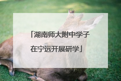 湖南师大附中学子在宁远开展研学