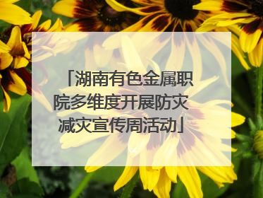 湖南有色金属职院多维度开展防灾减灾宣传周活动
