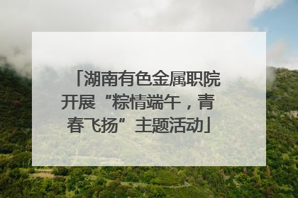 湖南有色金属职院开展“粽情端午，青春飞扬”主题活动