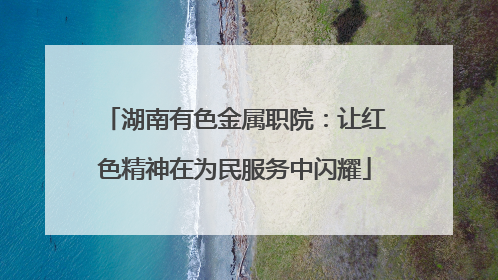 湖南有色金属职院：让红色精神在为民服务中闪耀