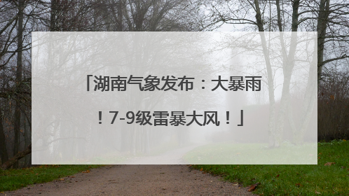 湖南气象发布：大暴雨！7-9级雷暴大风！