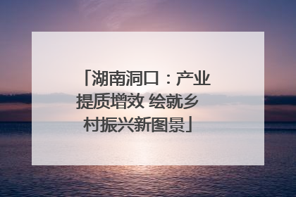 湖南洞口：产业提质增效 绘就乡村振兴新图景