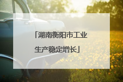 湖南衡阳市工业生产稳定增长