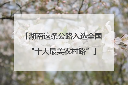 湖南这条公路入选全国“十大最美农村路”