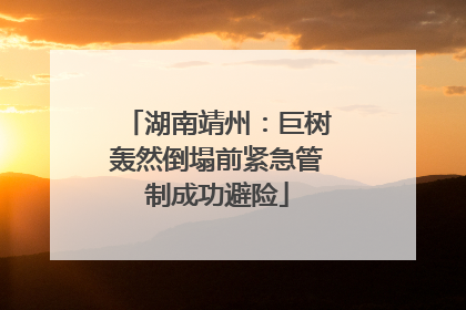 湖南靖州：巨树轰然倒塌前紧急管制成功避险