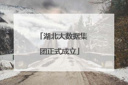 湖北大数据集团正式成立
