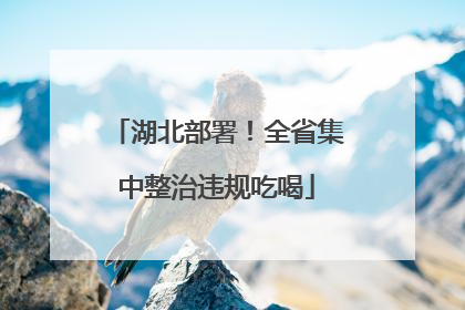 湖北部署！全省集中整治违规吃喝