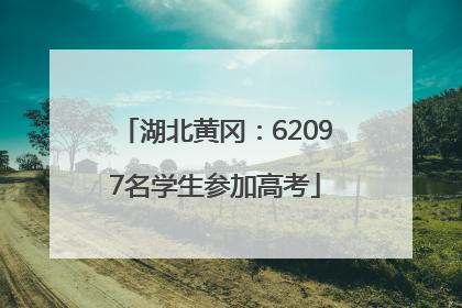 湖北黄冈：62097名学生参加高考
