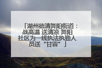 湖州德清舞阳街道：战高温 送清凉 舞阳社区为一线执法执勤人员送“甘霖”