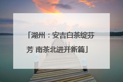 湖州：安吉白茶绽芬芳 南茶北进开新篇