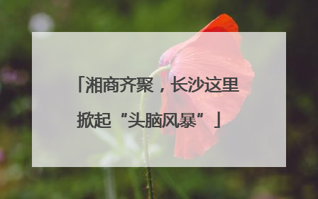 湘商齐聚，长沙这里掀起“头脑风暴”