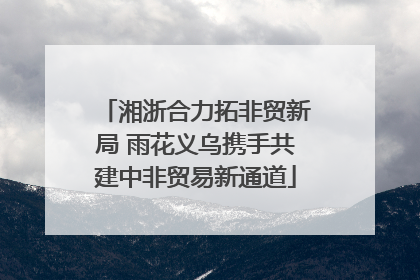 湘浙合力拓非贸新局 雨花义乌携手共建中非贸易新通道