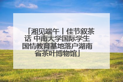 湘见端午丨佳节叙茶话 中南大学国际学生国情教育基地落户湖南省茶叶博物馆