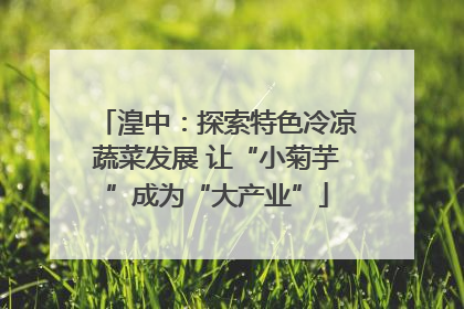 湟中：探索特色冷凉蔬菜发展 让“小菊芋”成为“大产业”