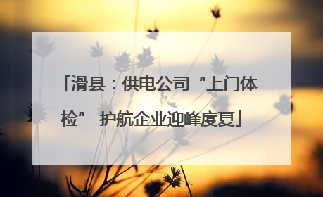 滑县：供电公司“上门体检” 护航企业迎峰度夏