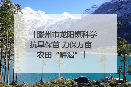 滕州市龙阳镇科学抗旱保苗 力保万亩农田“解渴”