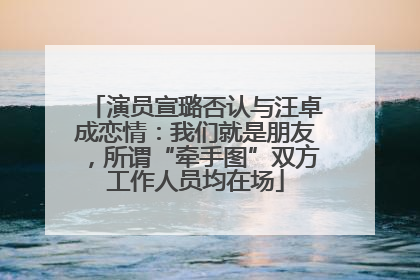 演员宣璐否认与汪卓成恋情：我们就是朋友，所谓“牵手图”双方工作人员均在场