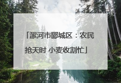 漯河市郾城区：农民抢天时 小麦收割忙