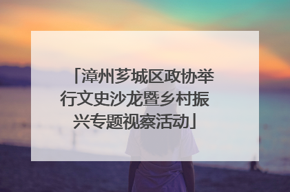 漳州芗城区政协举行文史沙龙暨乡村振兴专题视察活动