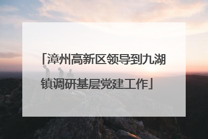 漳州高新区领导到九湖镇调研基层党建工作