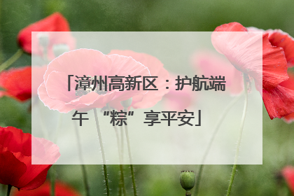 漳州高新区：护航端午 “粽”享平安