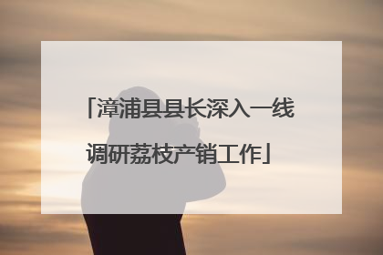漳浦县县长深入一线调研荔枝产销工作