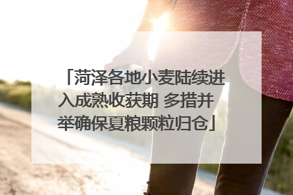 菏泽各地小麦陆续进入成熟收获期 多措并举确保夏粮颗粒归仓