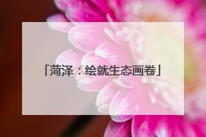 菏泽：绘就生态画卷