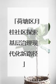 荷塘区月桂社区探索基层治理现代化新路径