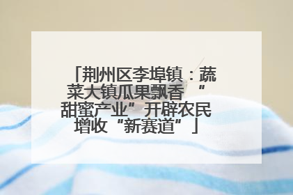 荆州区李埠镇：蔬菜大镇瓜果飘香 “甜蜜产业”开辟农民增收“新赛道”