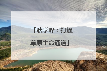 耿学峰：打通草原生命通道
