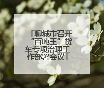 聊城市召开“百吨王”货车专项治理工作部署会议