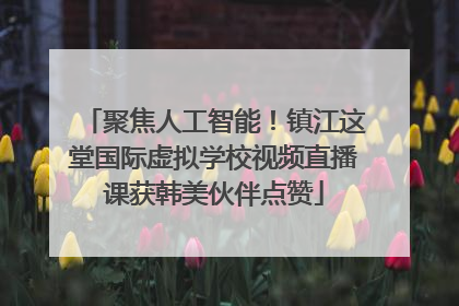 聚焦人工智能！镇江这堂国际虚拟学校视频直播课获韩美伙伴点赞