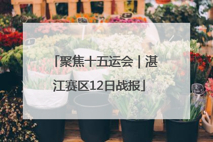 聚焦十五运会｜湛江赛区12日战报
