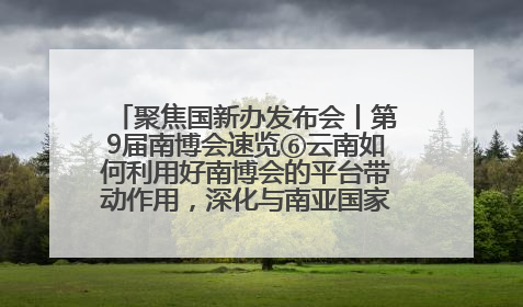 聚焦国新办发布会丨第9届南博会速览⑥云南如何利用好南博会的平台带动作用，深化与南亚国家的交流与合作？