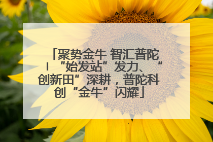聚势金牛 智汇普陀〡“始发站”发力、“创新田”深耕，普陀科创“金牛”闪耀