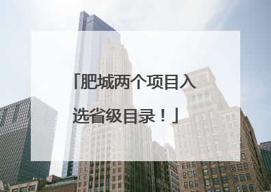 肥城两个项目入选省级目录！