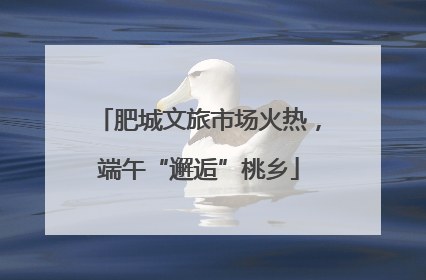 肥城文旅市场火热，端午“邂逅”桃乡