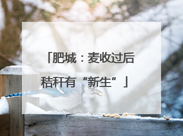 肥城：麦收过后秸秆有“新生”