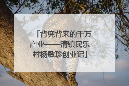 背兜背来的千万产业——清镇民乐村杨敏珍创业记