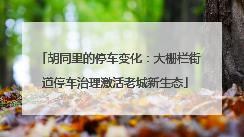 胡同里的停车变化：大栅栏街道停车治理激活老城新生态