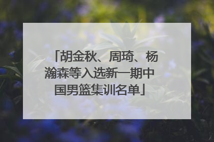 胡金秋、周琦、杨瀚森等入选新一期中国男篮集训名单