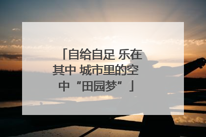 自给自足 乐在其中 城市里的空中“田园梦”
