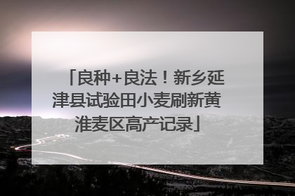 良种+良法！新乡延津县试验田小麦刷新黄淮麦区高产记录