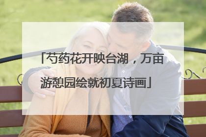 芍药花开映台湖，万亩游憩园绘就初夏诗画