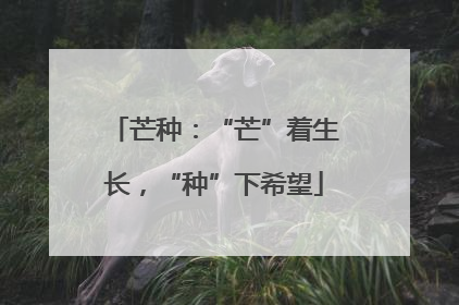 芒种：“芒”着生长，“种”下希望