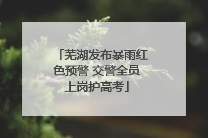 芜湖发布暴雨红色预警 交警全员上岗护高考
