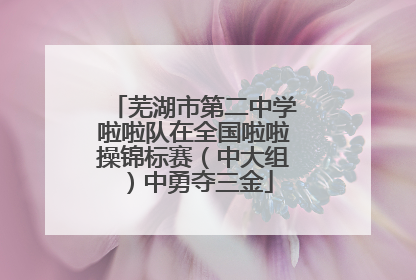 芜湖市第二中学啦啦队在全国啦啦操锦标赛（中大组）中勇夺三金